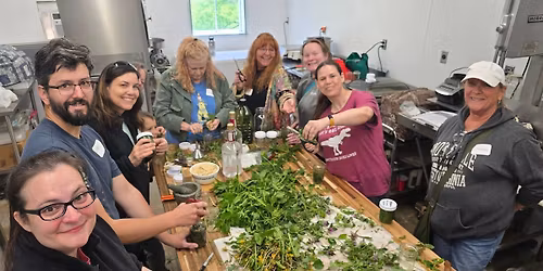 Herbal workshop: Harvest and creating 