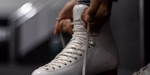 Ve\u0159ejn\u00e9 bruslen\u00ed