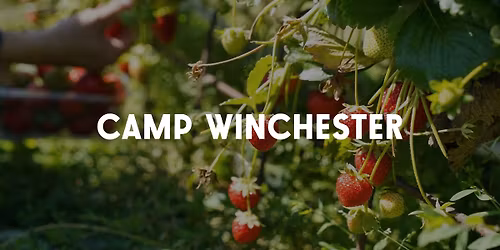 Camp Winchester Strawberry Picking 