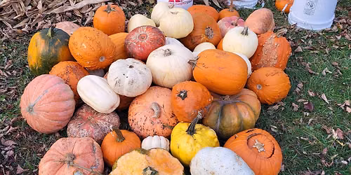 Community Pumpkin Smash