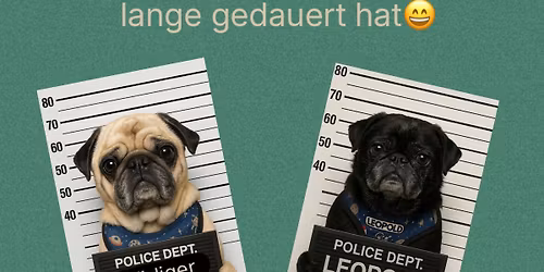 Mopstreffen Gelsenkirchen