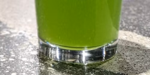 Live Music at O'so Brewing