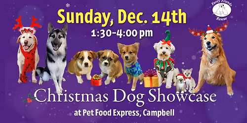 FFR Christmas Adoption Showcase at Pet Food Express, Campbell