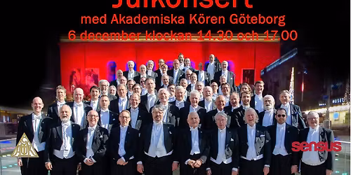 Julkonserter 14.30 och 17.00