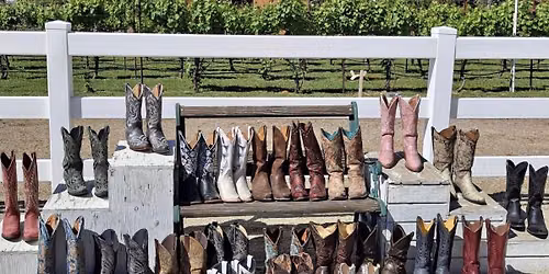 Free Line Dance Lessons