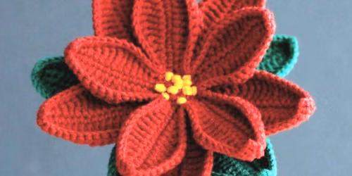 Crochet Workshop - Pointsettia