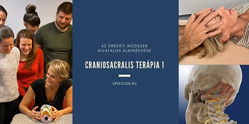 CRANIOSACRALIS TER\u00c1PIA 1 \u2013 Az eredeti craniosacralis ter\u00e1pia alapk\u00e9pz\u00e9se, 1.szint