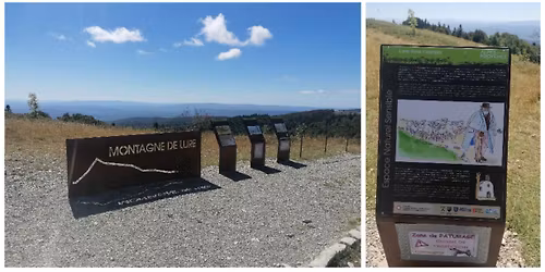 L'homme qui plantait des arbres, Jean Giono