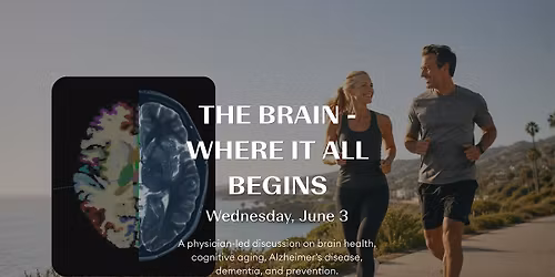 The Brain - Where It All Begins