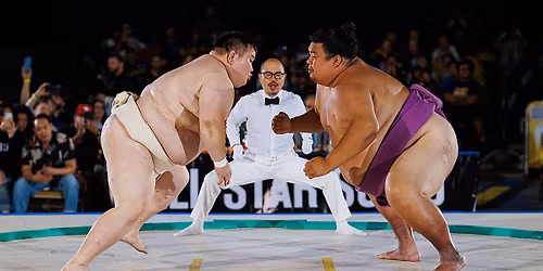 All Star Sumo