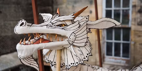 Amazing Dragons
