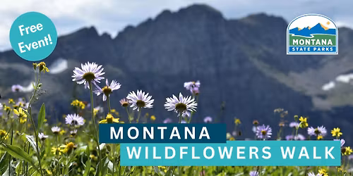 Montana Wildflowers Walk at Wayfarers State Park