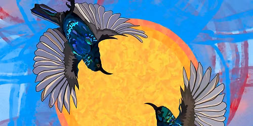 Beccy Owen - LIVE ALBUM LAUNCH OF 'PORTAL'