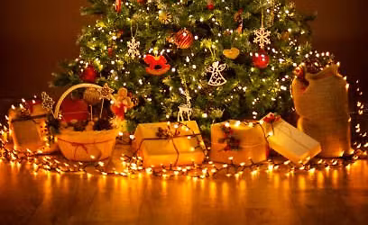 Annual Lighting of the Christmas Tree