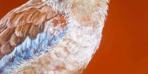 Birds - Pastel - Arty Obsessions Workshop