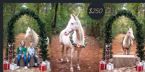 Christmas unicorn minis! 