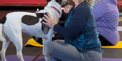 Zen Paws & Practice- Yoga with Adoptable Dogs