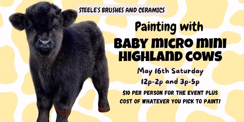 Painting with Baby Micro Mini Highland Cows