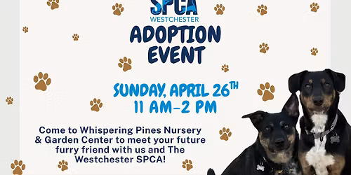 SPCA Adoption Event 