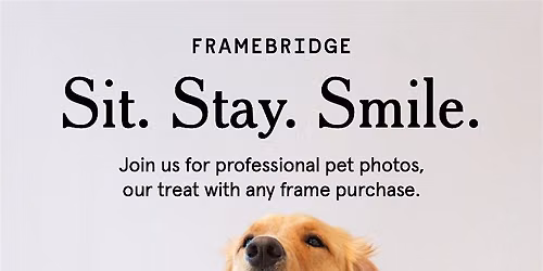Professional Pet Portraits