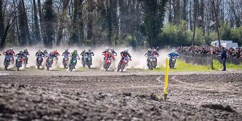 March\u00e9 de la moto et des pi\u00e8ces d\u00e9tach\u00e9es