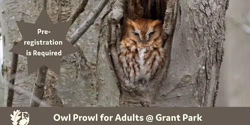 Owl Prowl for Adults @ Grant Park (Pre-Registration is Required)