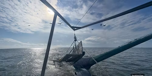 Holy Shrimp Pop-Up! Fresh Local Shrimp Every Saturday!
