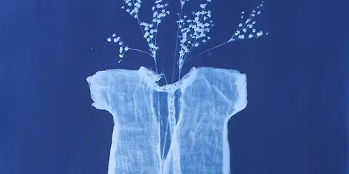 Cyanotype Photograms for Beginners