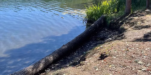{Registration and Fee Required} Acorn Woman\u2019s Lake Hike