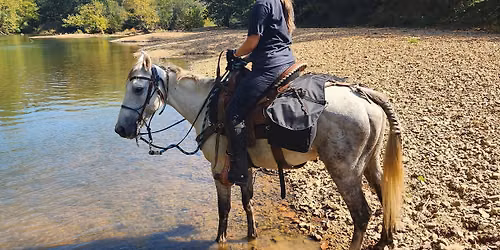 Intermediate-Advanced Trail Ride at Central Valley in Murfreesboro
