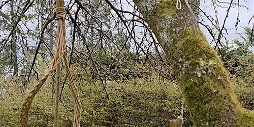 Willow Weaving Wind Spinner
