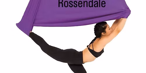 Aerial Yoga teacher training