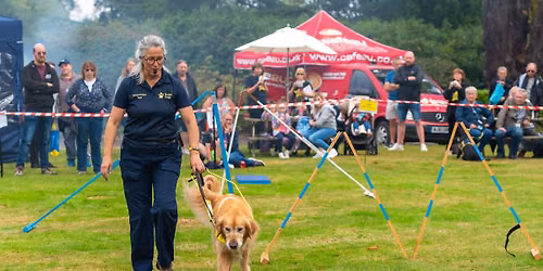 Guide Dogs Fun Day