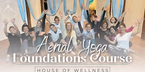 Aerial Yoga Foundations Course
