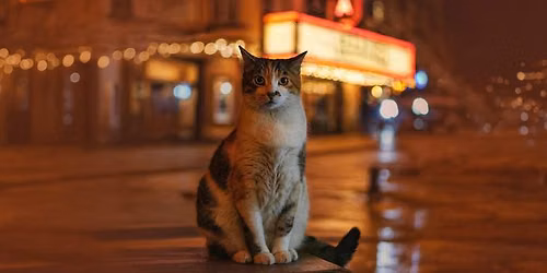 LOH presents CatVideoFest
