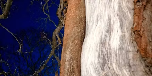 Shamanismin polulla - Shamanistisen ty\u00f6skentelyn perusteet