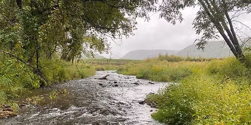 November Monthly Meet-up