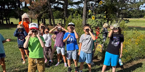Plants & Bugs Camp: Session Three
