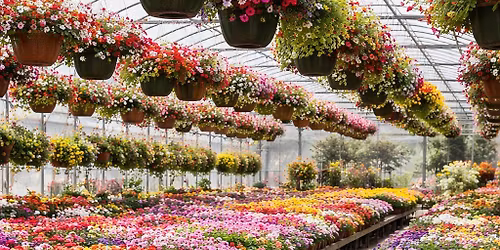 \u02dc\u201d*\u00b0\u2022\ud83c\udf3c\ud83c\udf3b Greenhouse Grand Opening!\ud83c\udf3b\ud83c\udf3c \u2022\u00b0*\u201d\u02dc