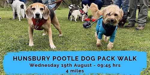 HUNSBURY POOTLE DOG PACK WALK | 4 MILES | MODERATE | NORTHANTS