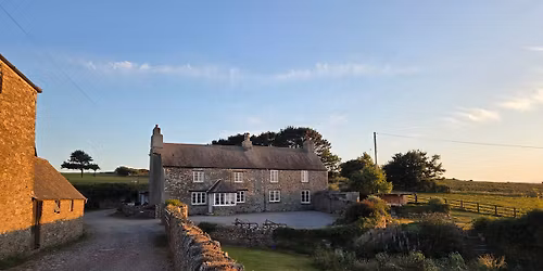 Hare - Willow making