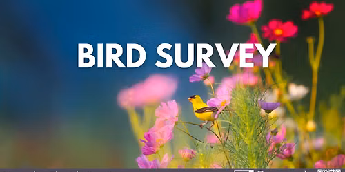 Bird Survey Hike @ Ida Bay