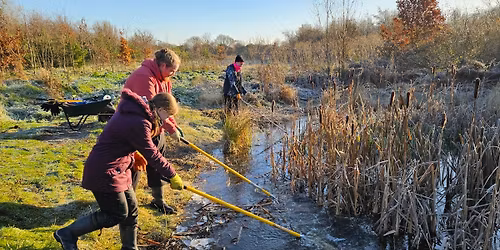 Volunteer Day \u2013 Hampton Nature reserve