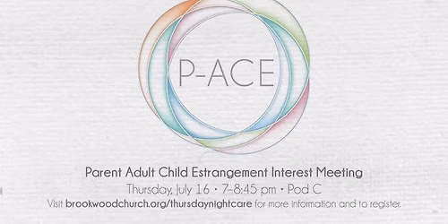 P-ACE Support Meeting