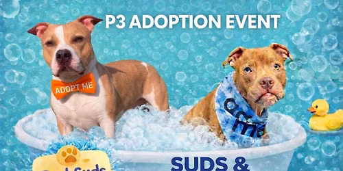 \ud83e\udee7\ud83d\udc36Suds & Snuggles Adoption Event at BarkSuds DC \ud83e\udee7\ud83d\udc36