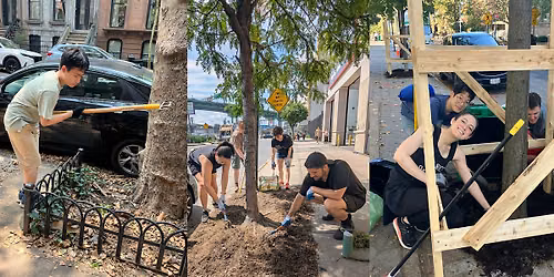 Street Tree Care in Upper West Side