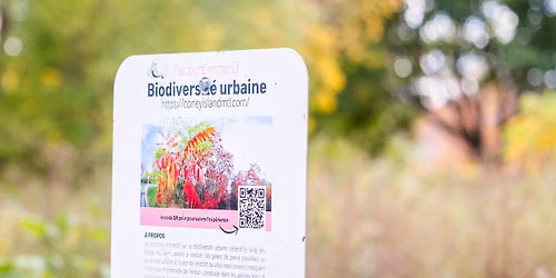 Exploration des plantes m\u00e9dicinales et de la  biodiversit\u00e9 de l'\u00cele-des-Soeurs