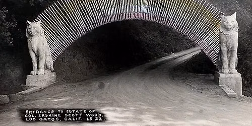 Talk of the Town: The Cats Estate, Charles E.S. Wood, and Sara Bard Field