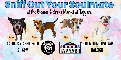 Sniff Out Your Soulmate at Tap Yard