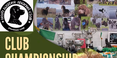 Club Championship Show & Fun Dog Show